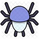 Spider Icon