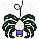 Spider Halloween Insect Icon