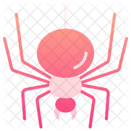 Spider  Icon