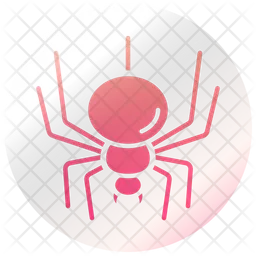 Spider  Icon