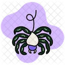 Spider Icon