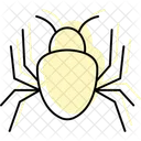 Spider Insect Web Icon