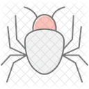 Spider Insect Web Icon