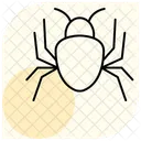 Spider Insect Web Icon