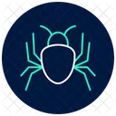 Spider Insect Web Icon