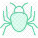 Spider Insect Web Icon