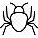 Spider Insect Web Icon