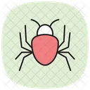 Spider Insect Web Icon