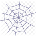 Spider Web Cobweb Spider Icon