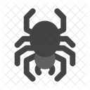 Spider Insects Bugs Icon