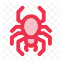 Spider Insects Bugs Icon