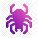 Spider Insects Bugs Icon