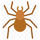 Orb Weaver Flora Huntsman Icon