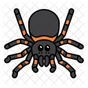 Spider Arachnid Web Icon