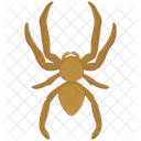 Spider Web Bug Icon