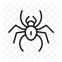 Spider Web Arachnid Icon