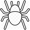 Spider Icon
