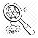Spider Spiderweb Cobweb Icon