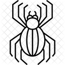 Spider Web Animal Kingdom Icon