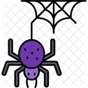 Spider Arachnid Web Icon