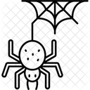 Spider Arachnid Web Icon