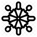 Spider Flower Floral Icon