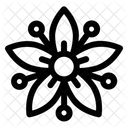 Spider Flower Floral Icon