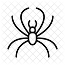 Spider  Icon