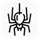 Spider  Icon