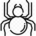Spider  Icon