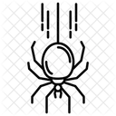 Spider  Icon