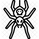 Spider  Icon
