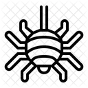 Spider  Icon