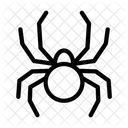 Spider  Icon