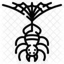 Spider  Icon