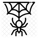 Spider  Icon