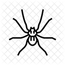 Spider  Icon