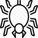 Spider  Icon