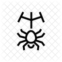 Spider Insect Spider Web Icon