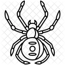 Spider  Icon