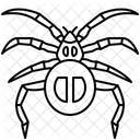 Spider  Icon