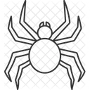 Spider  Icon