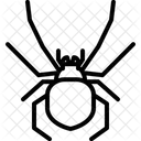 Spider  Icon