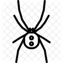 Spider  Icon