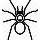 Spider  Icon