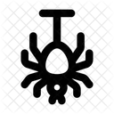 Spider Insect Animal Icon