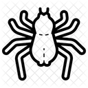 Spider Bug Insect Icon