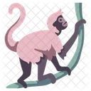 Spider Monkey Monkey Wild Animal Icon