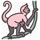 Spider Monkey Monkey Wild Animal Icon