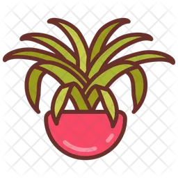 Spider plant  Icon